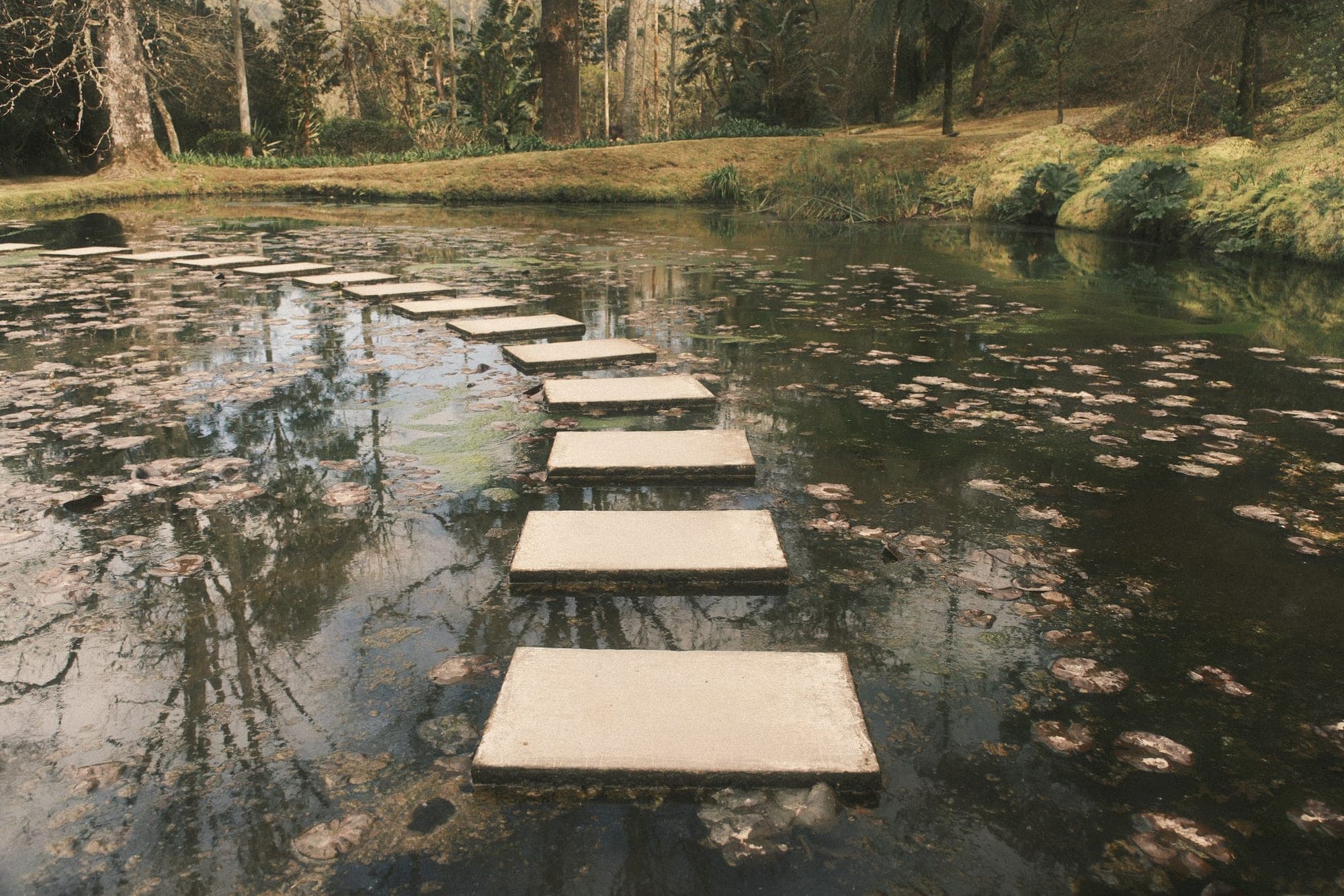 Square stepping stones crossing a still pond