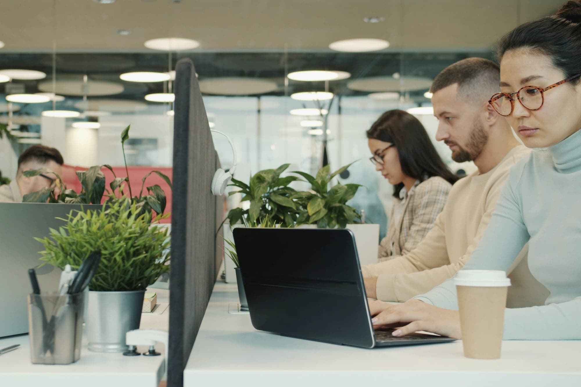 A team working at laptops along a row of desks in a bright office